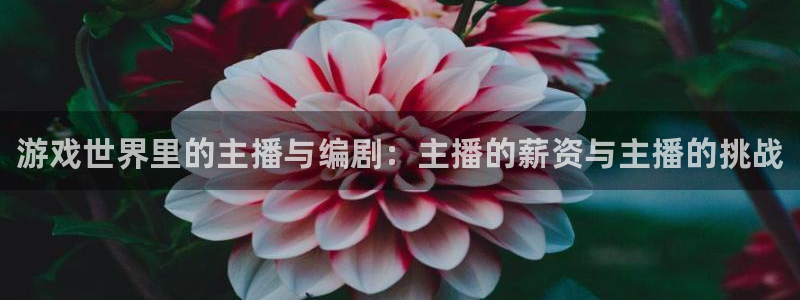 欧博娱乐手机网页版登录：游戏世界里的主播与编剧：主播的薪资与