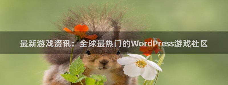 欧博娱乐娱乐：最新游戏资讯：全球最热门的WordPress游