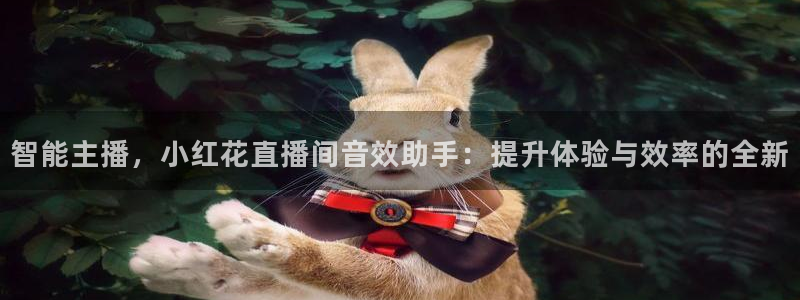 河豚在线nba直播