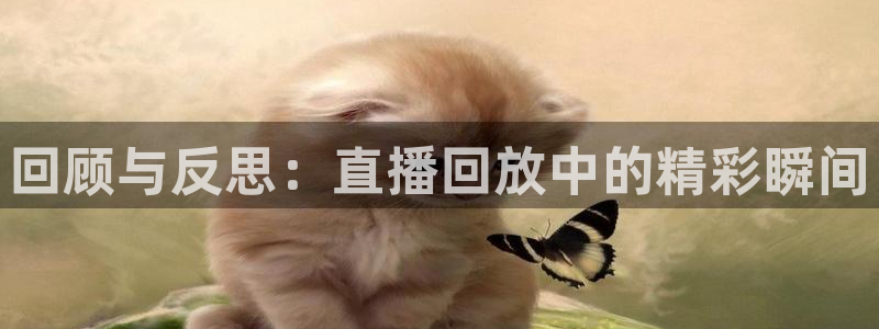 河豚体育nba直播下载