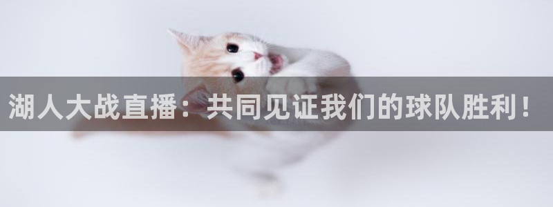 河豚体育直播nba：湖人大战直播：共同见证我们的球队胜利！
